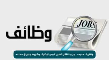 وظائف جديدة.. وزارة النقل تطرح فرص توظيف بشروط وأوراق محددة